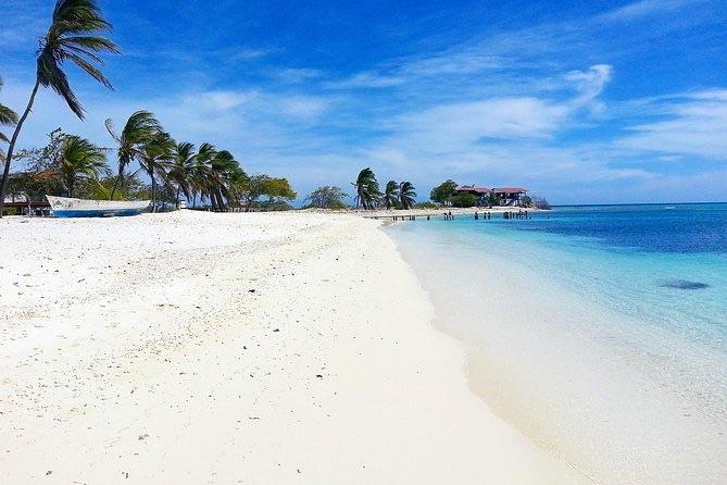Playa de arena blanca con palmeras y agua turquesa en Los Roques